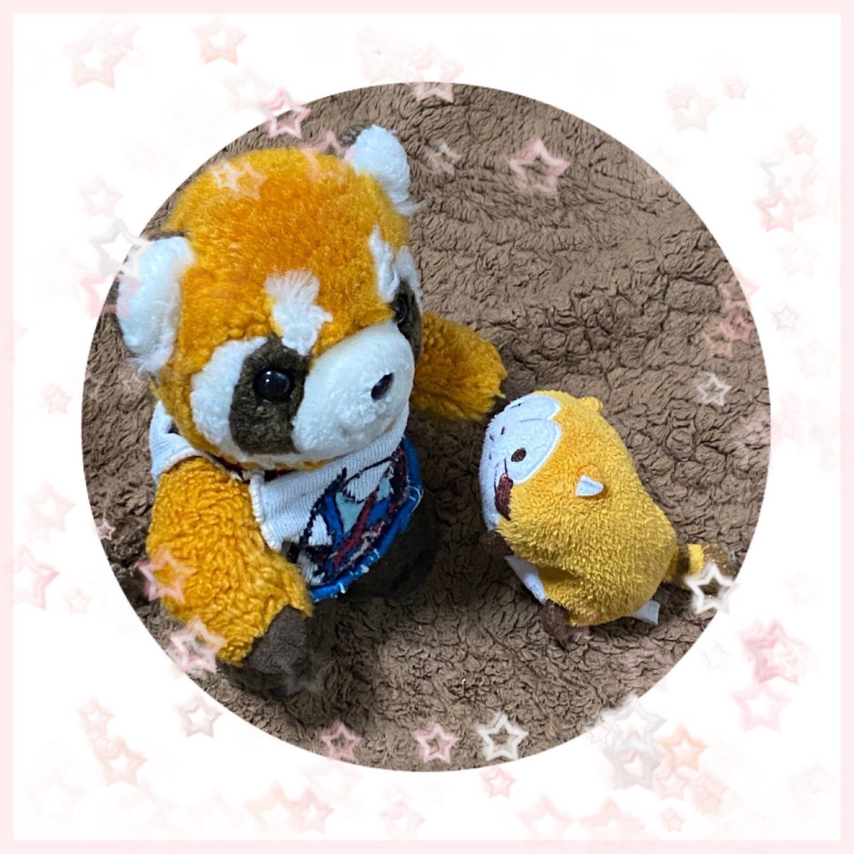 Rascal2011M's tweet image. 息子の靴下から作られた服を毎年寒くなったら着るアライグマ(動物園で買ったレッサーだけど…)
＃ラスカル #ぬいぐるみ