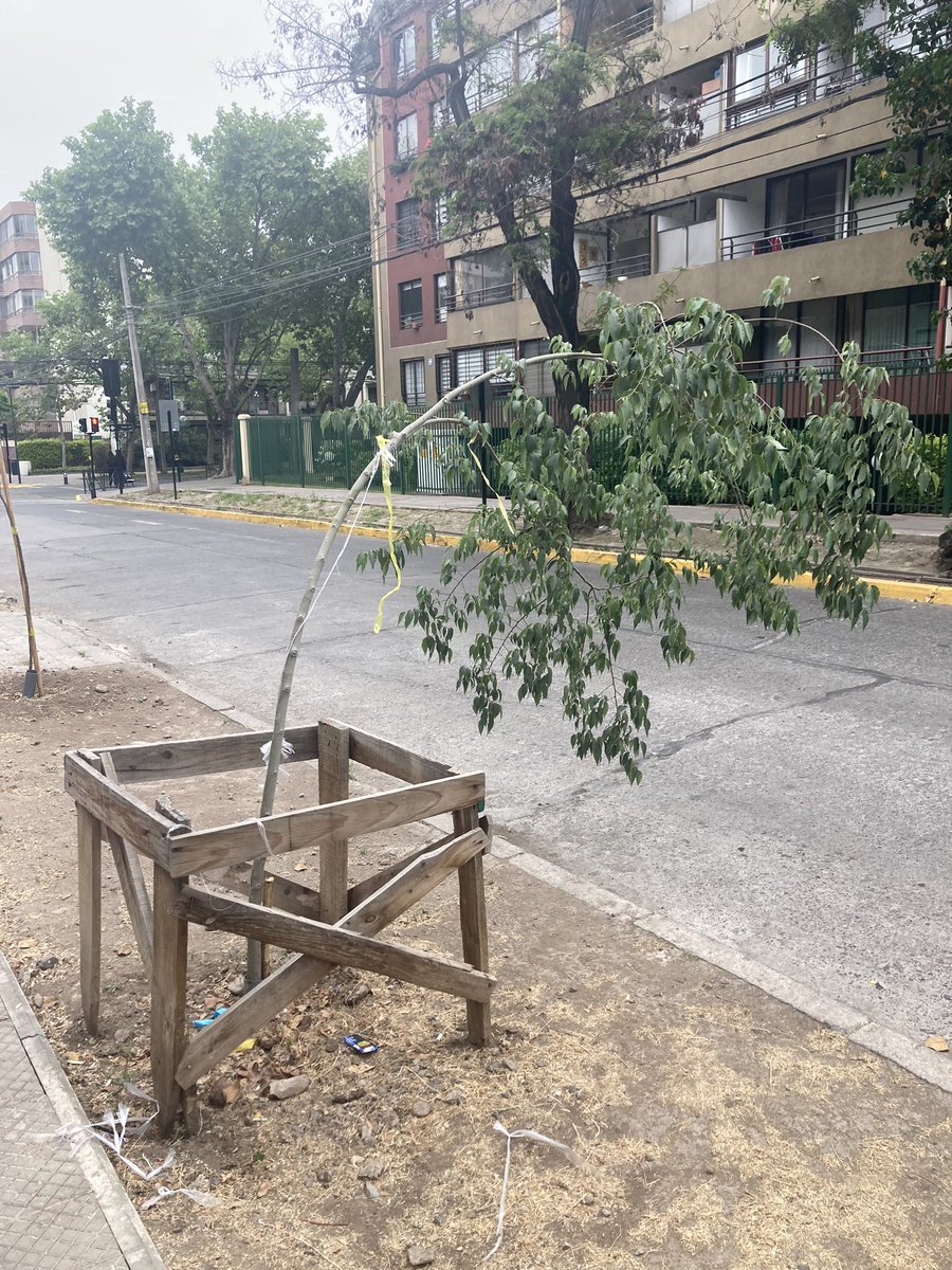 ulloamendieta's tweet photo. @evelynmatthei @DeProvidencia @Muni_provi Bustos con Lyon. Intenté amárralo, pero necesita tutor https://t.co/q4wjtzRZwY