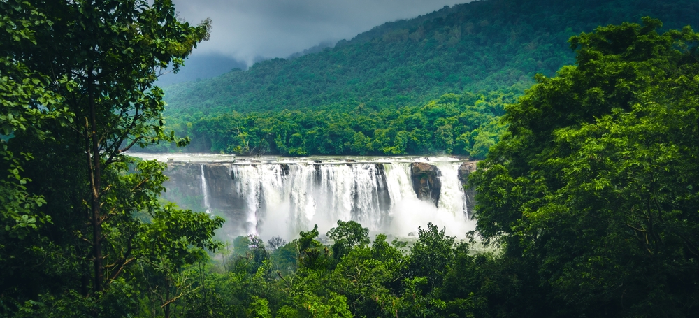 KeralaTourism's tweet photo. “There is a hidden message in every waterfall. It says, if you are flexible, falling will not hurt you.” ~ Mehmet Murat Ildan

📍 Athirappilly Waterfalls

#SundayVibes #Nature #Waterfall #PackUpForKerala #KeralaTourism https://t.co/csprPRd7fn
