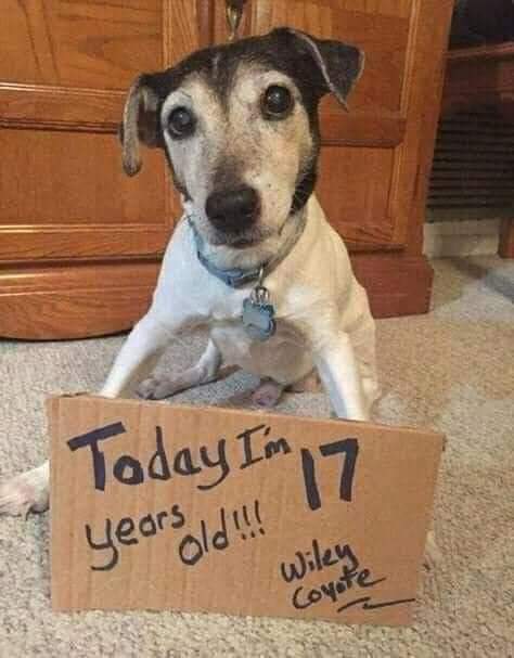 Dalbodog's tweet photo. Happy Birthday 🎈🎁🎊 little buddy enjoy your day 🎂 https://t.co/OSwgK2xGk6