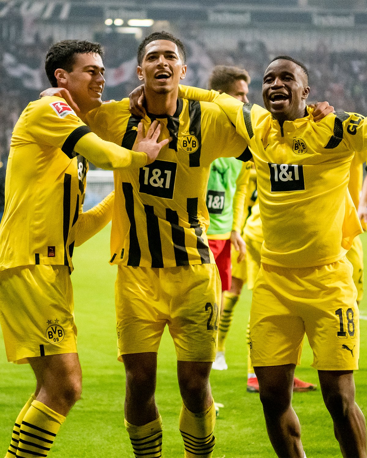 Bvb shorts hotsell