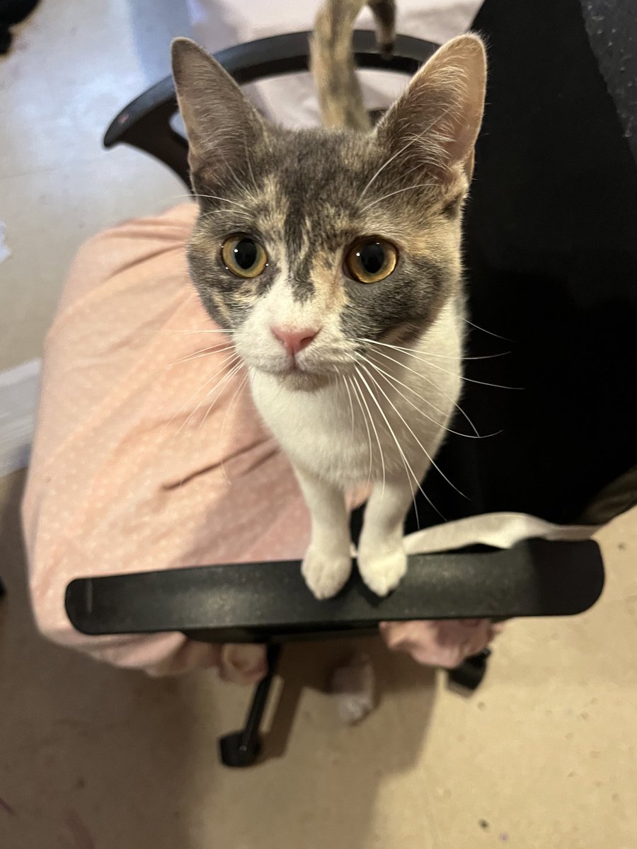 dani♡ (@tusubeselnivel) on Twitter photo 