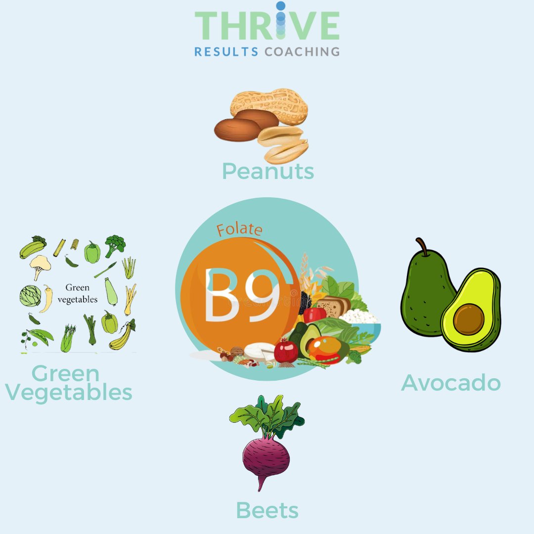 ThriveRC's tweet image. Folate (B9) comes from the Latin word folium meaning ‘leaf’ since it is found in many leafy plants. Folate is involved in the synthesis of serotonin and dopamine. Imbalance in these neurotransmitters can lead to the development of depression and anxiety. Vital for pregancy.