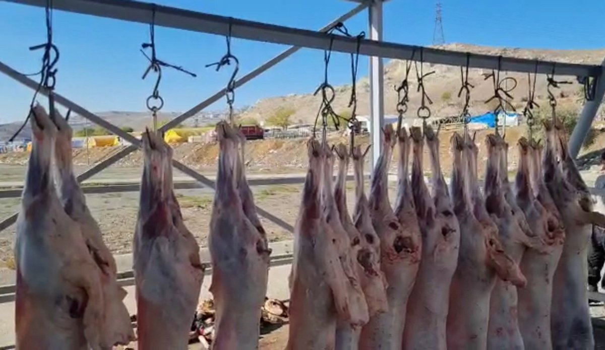 Hayırsever bağışçılarımızdan aldığımız vekâletler ile 16 adet adak kurban bağışımızı kestik ve ihtiyaç sahibi ailelerimiz için, aşevimizin soğuk hava depolarına sevk ettik. Allah kabul eylesin ve bereketli kılsın. Adaklar yerine ulaşsın diye, #BizVarız...