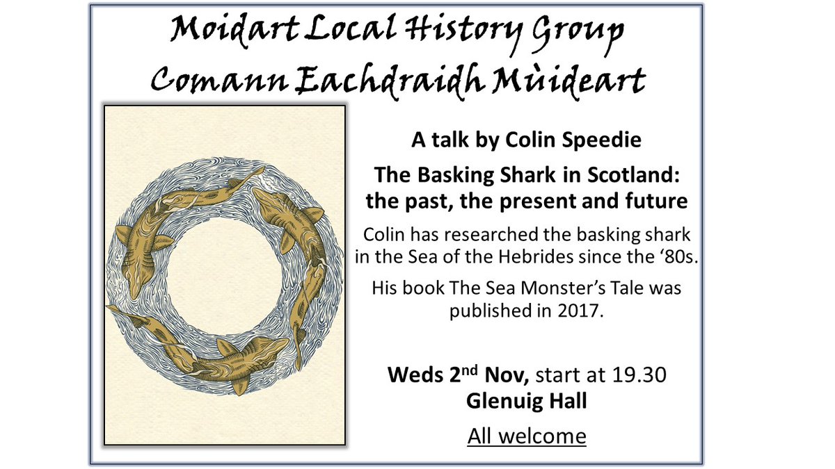 A Sea Monster's Tale 🦈 tweet media