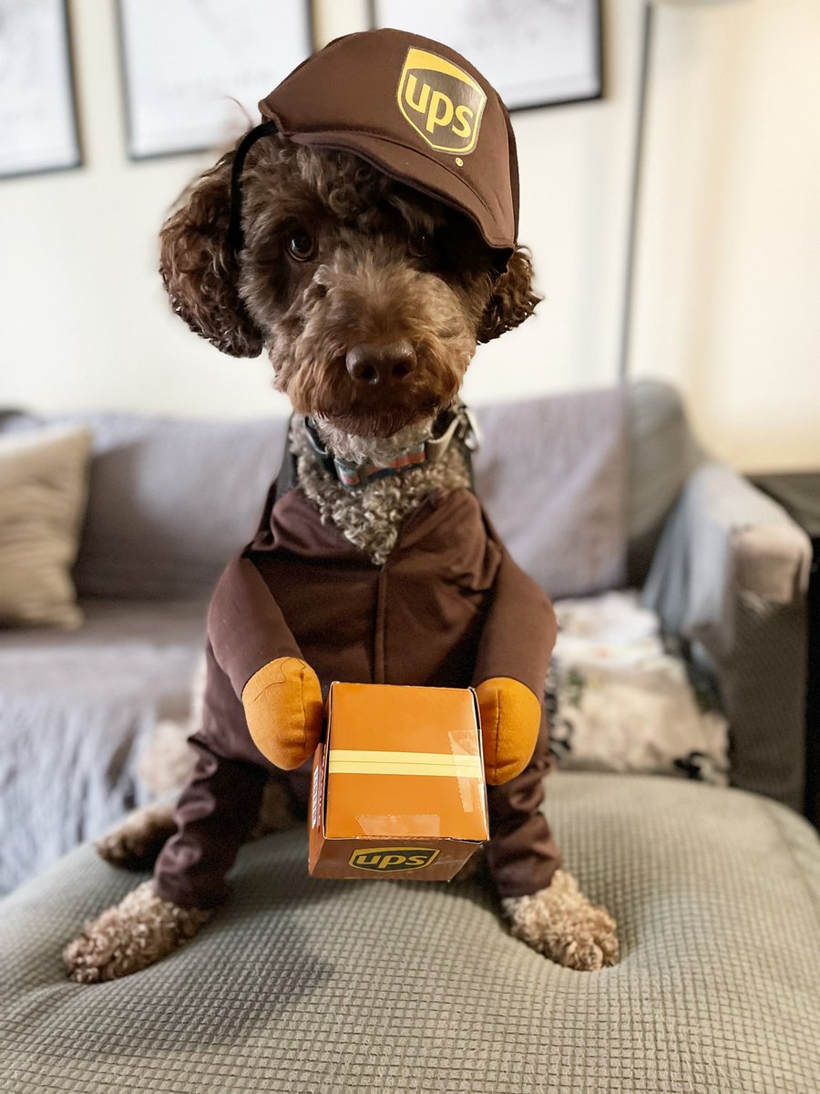 l_rigo88's tweet photo. Hey @UPS_Canada … are you hiring? https://t.co/c0ywoQoQPl