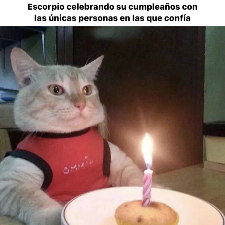 escorpio_hn's tweet photo. 🤣🤣🤣 #escorpio #horoscoponegro https://t.co/ZkB8jTrmMx