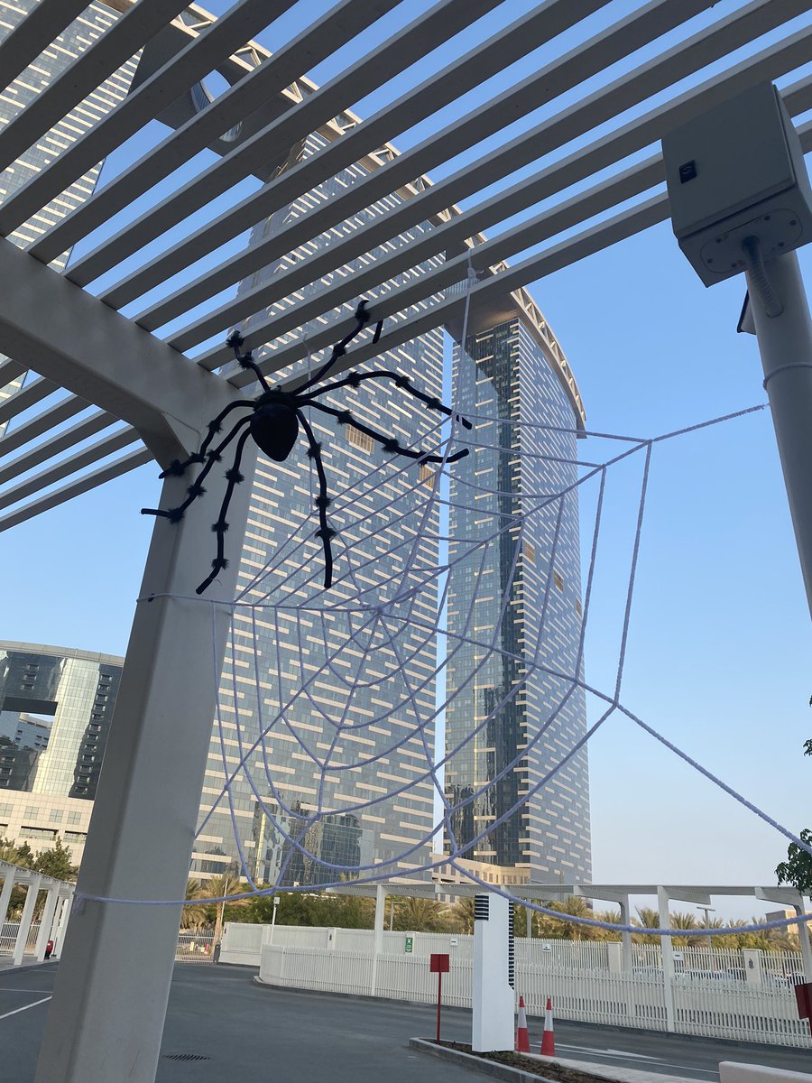 Tamsin Rampall tweet media