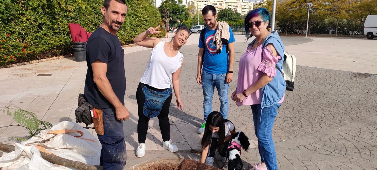 ajuntpalma's tweet photo. 🙌Gràcies als veïns, veïnes, entitats veïnals de La Vileta i Nova Son Roca per participar avui a la sembra de 18 arbres (tarongers amargs i delònix) al parc de Son Puig de Dalt. 

🌱Prop de 100 persones han contribuït a aportar més ombres i verd al parc 

#Objectiu10Mil https://t.co/AEaXTeFJ0K