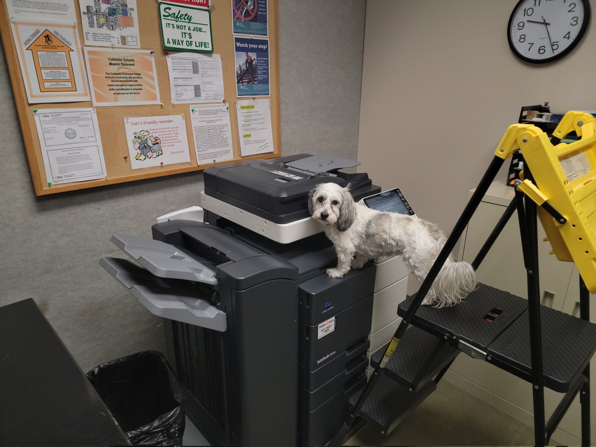 Doug Mader Coldwater Superintendent tweet media