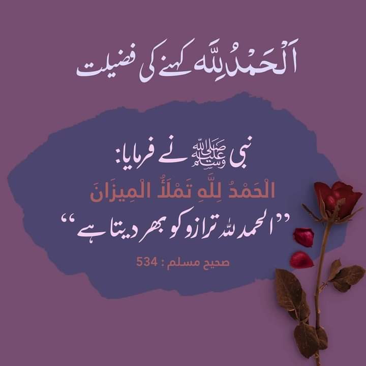 DUA MALIK دعا ملک tweet media
