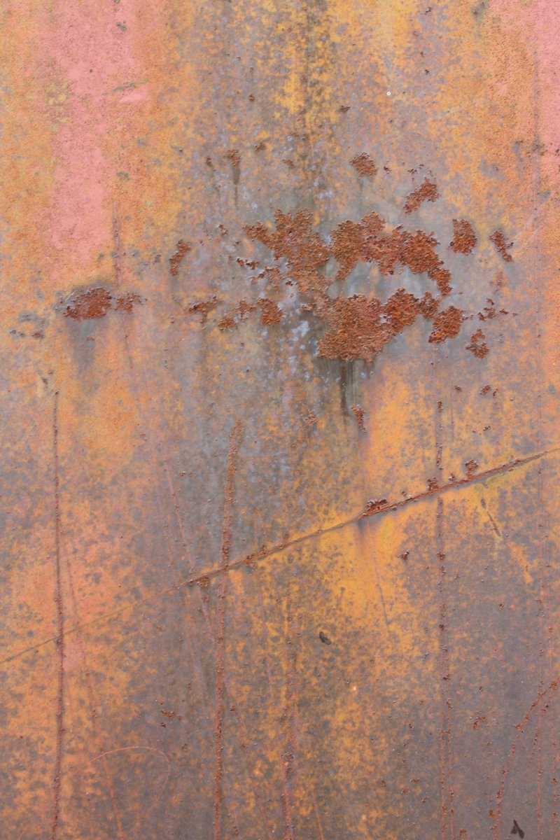 AmThrivingAfter's tweet photo. More of my #art to brighten your day! 
Ageing Gracefully Series: 1861
#healingthruart #artRX
#ThrivingAfter #InspiringThriving https://t.co/WqztwaKk2z