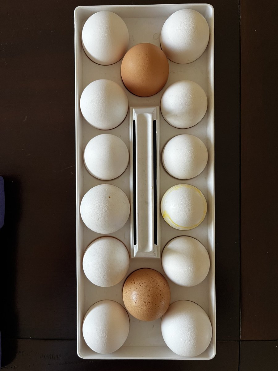 TJ Jemison, M. Ed. 🏳️🌈 tweet media