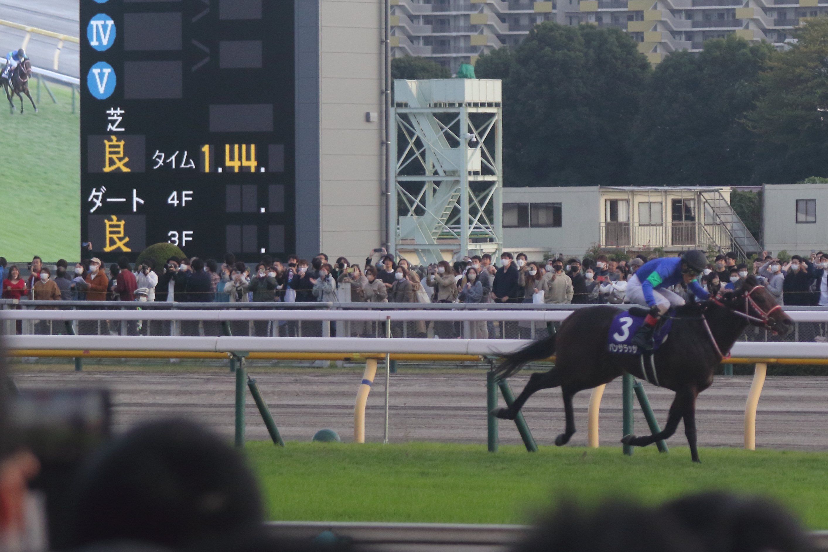 スプ (spring_train) / Twitter