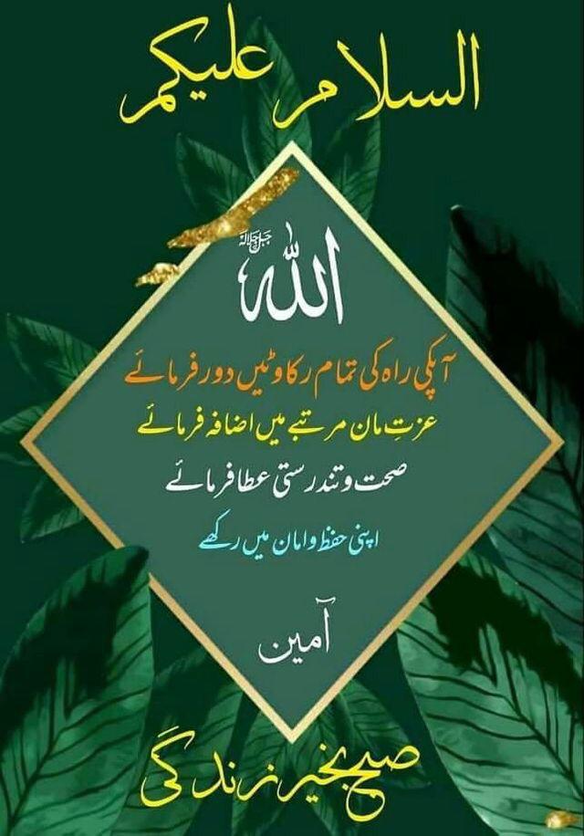 DUA MALIK دعا ملک tweet media