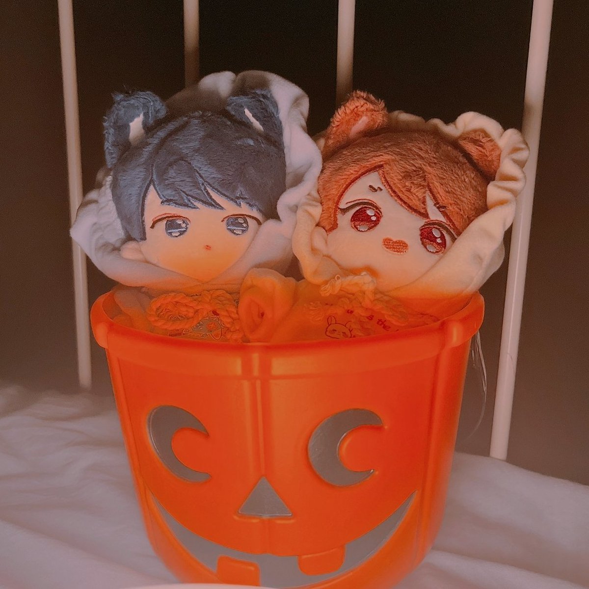10yoh05's tweet photo. 🐈‍⬛🐈🎃 https://t.co/MomuuVmSwa