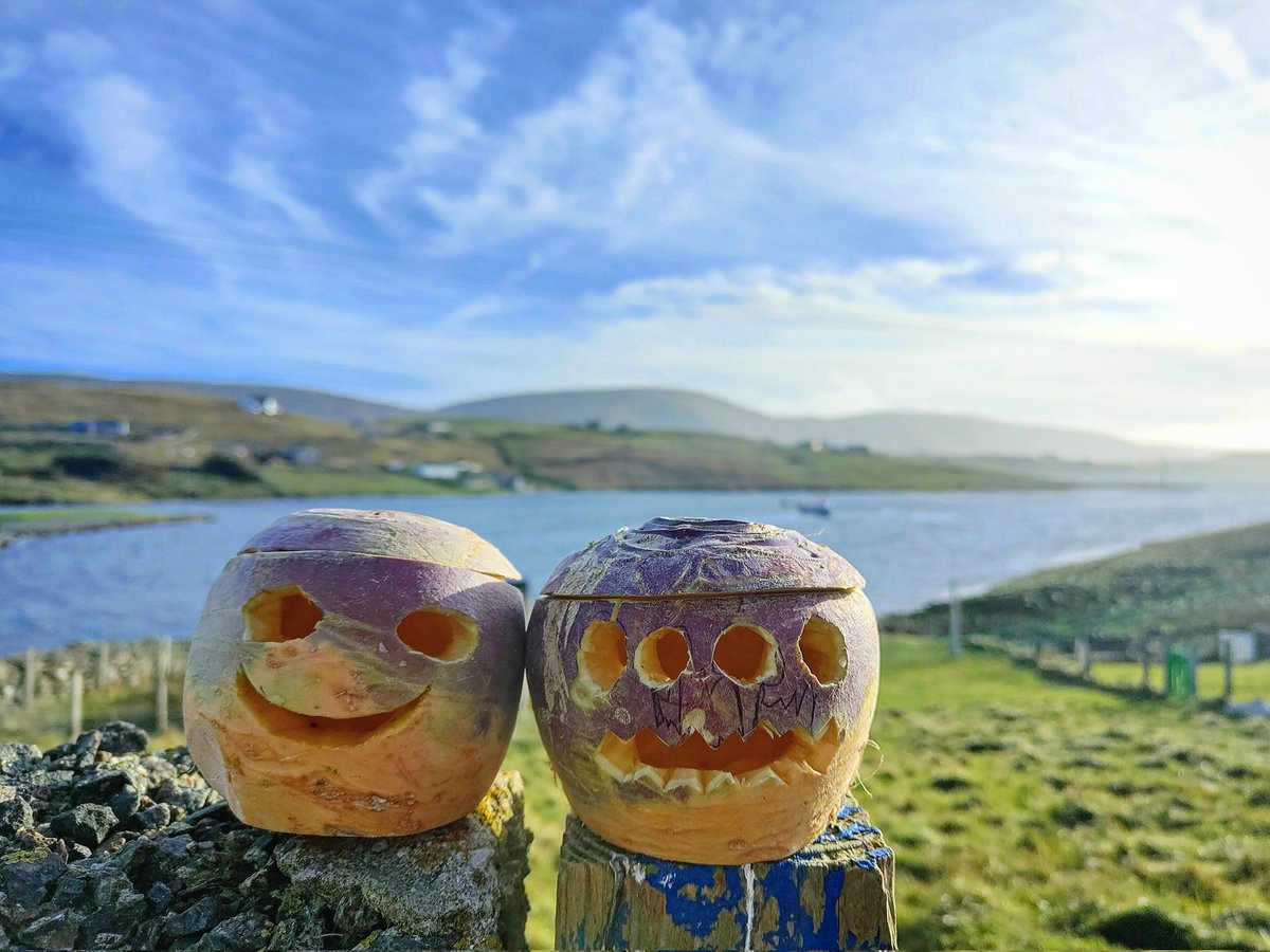 CatherineMMunro's tweet photo. Neepie lanterns for Samhain https://t.co/jwuvxfKNbH