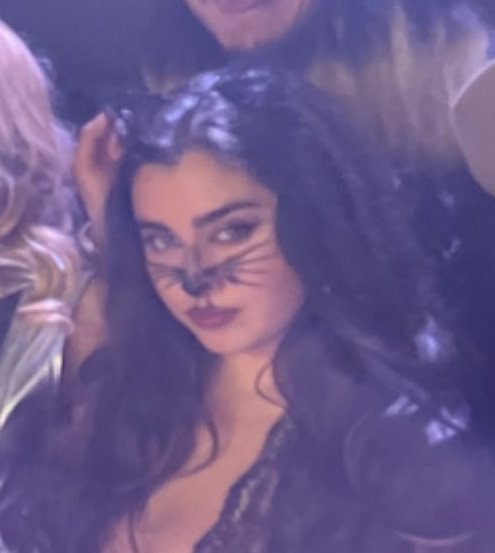 el gatito ya crecio