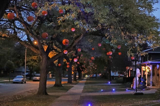 This Halloween, Piglet comes down to any of your muse’s neighborhoods.