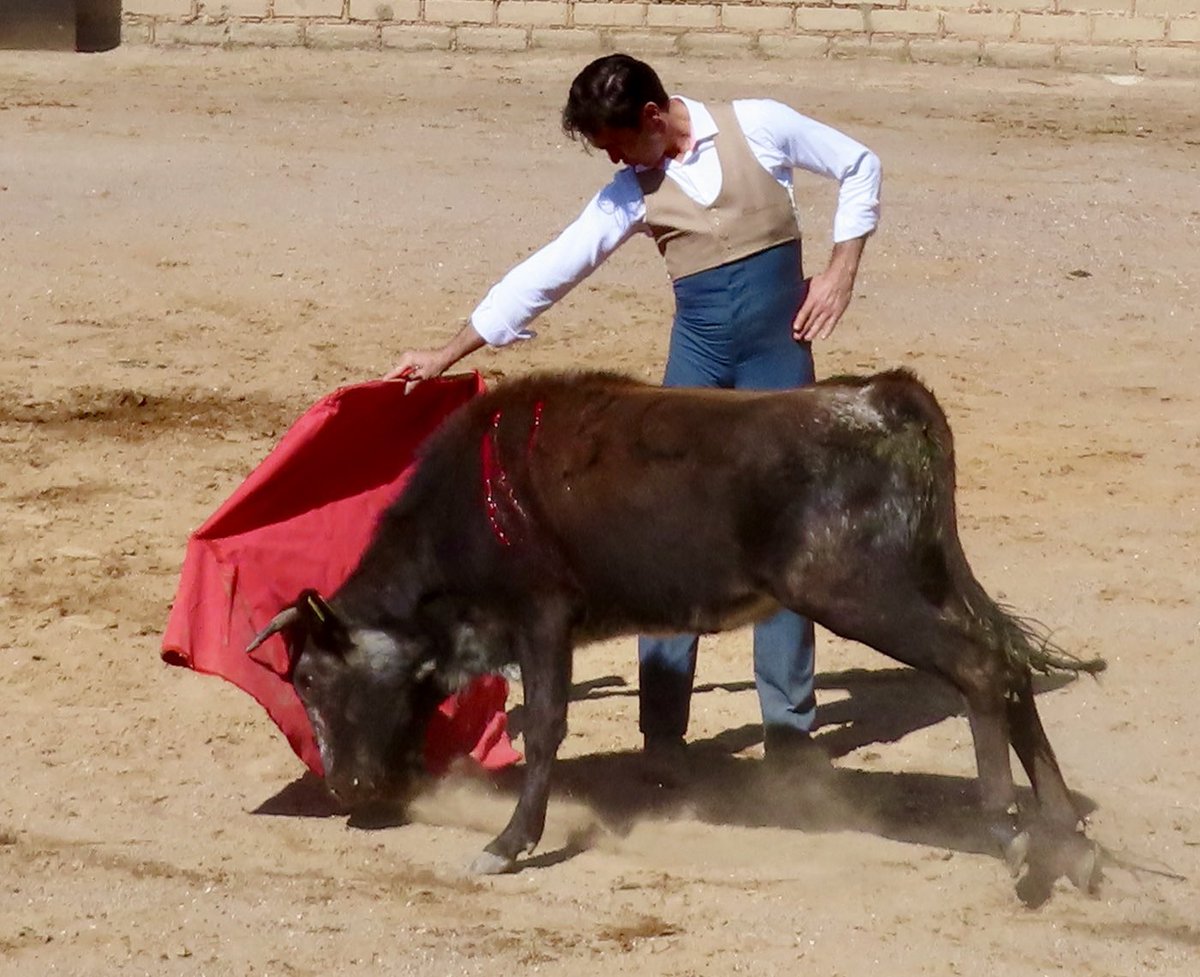 los_cues's tweet photo. Gracias @josemauricio1 @ArredondoSainz @eduardoneyra72 gran tienta! #cuidandoelorigen https://t.co/vq1413NqZj