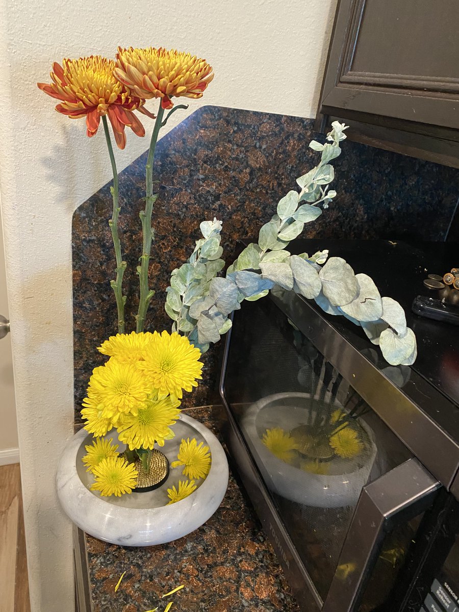 AmThrivingAfter's tweet photo. Ikebana practice
#contemplative #ikebana #flowers #art https://t.co/PE5W58FDlU