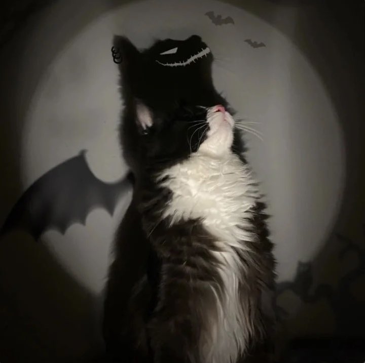 ْ (@heartzcore_) on Twitter photo 