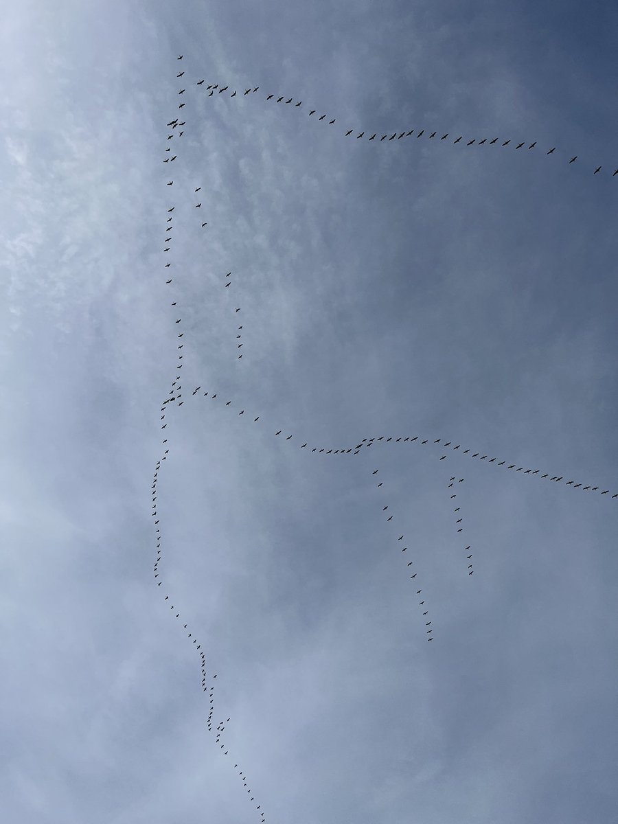 Benjamin Legrand tweet media