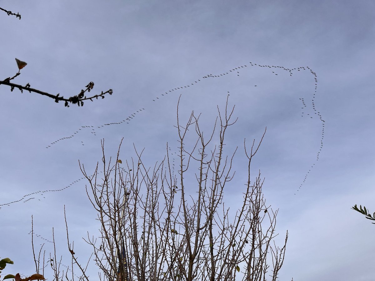 Benjamin Legrand tweet media