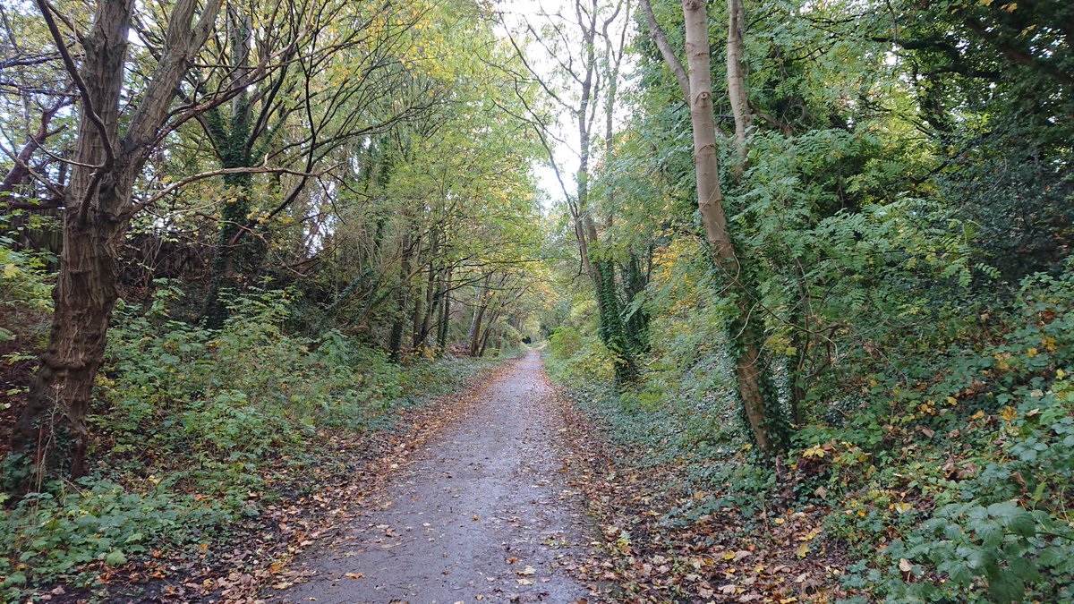 racepacerunner's tweet image. 1:45 HM Plan - W8D4 - Easy Long Run

Longest run ever! Went for a #liverpoolloopline northbound run - from Broad Green to Aintree and back.

Closest I&apos;m gonna get to trail running - bit of puddles, mud and fallen leaves 😛

#twittawinterchallenge #pigtailpower #running #strava