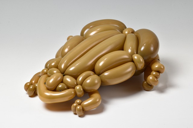isopresso's tweet photo. バルーンでピパピパ
#balloonart #SurinamToad #バルーンアート https://t.co/mfWUQgiBhw