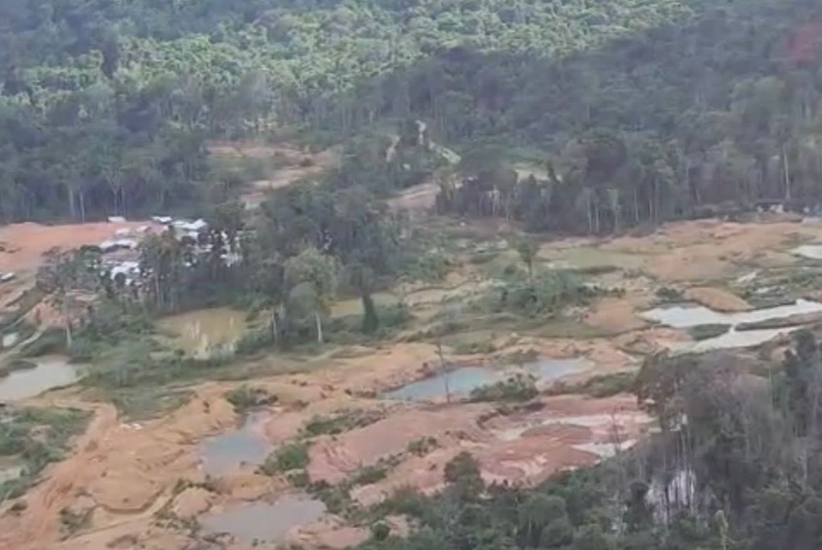 dhernandezlarez's tweet photo. La Seguridad y Defensa es de carácter permanente y garantizará la soberanía e integridad territorial en el ámbito de las Reservas Forestales, enmarcados dentro del Plan Nacional de Ordenamiento y Conservación. Los grupos arbitrarios ecocidas armados serán intervenidos legalmente! https://t.co/iiISi6Erxn