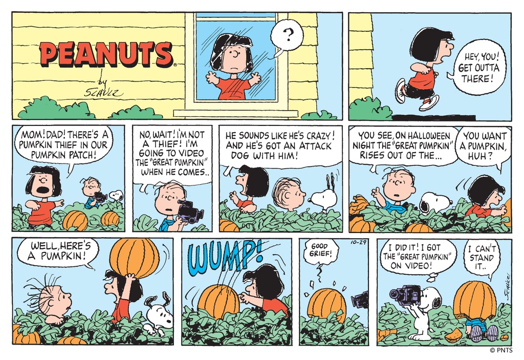Charles M. Schulz Museum on Twitter "🎃 This Peanuts Sunday comic strip