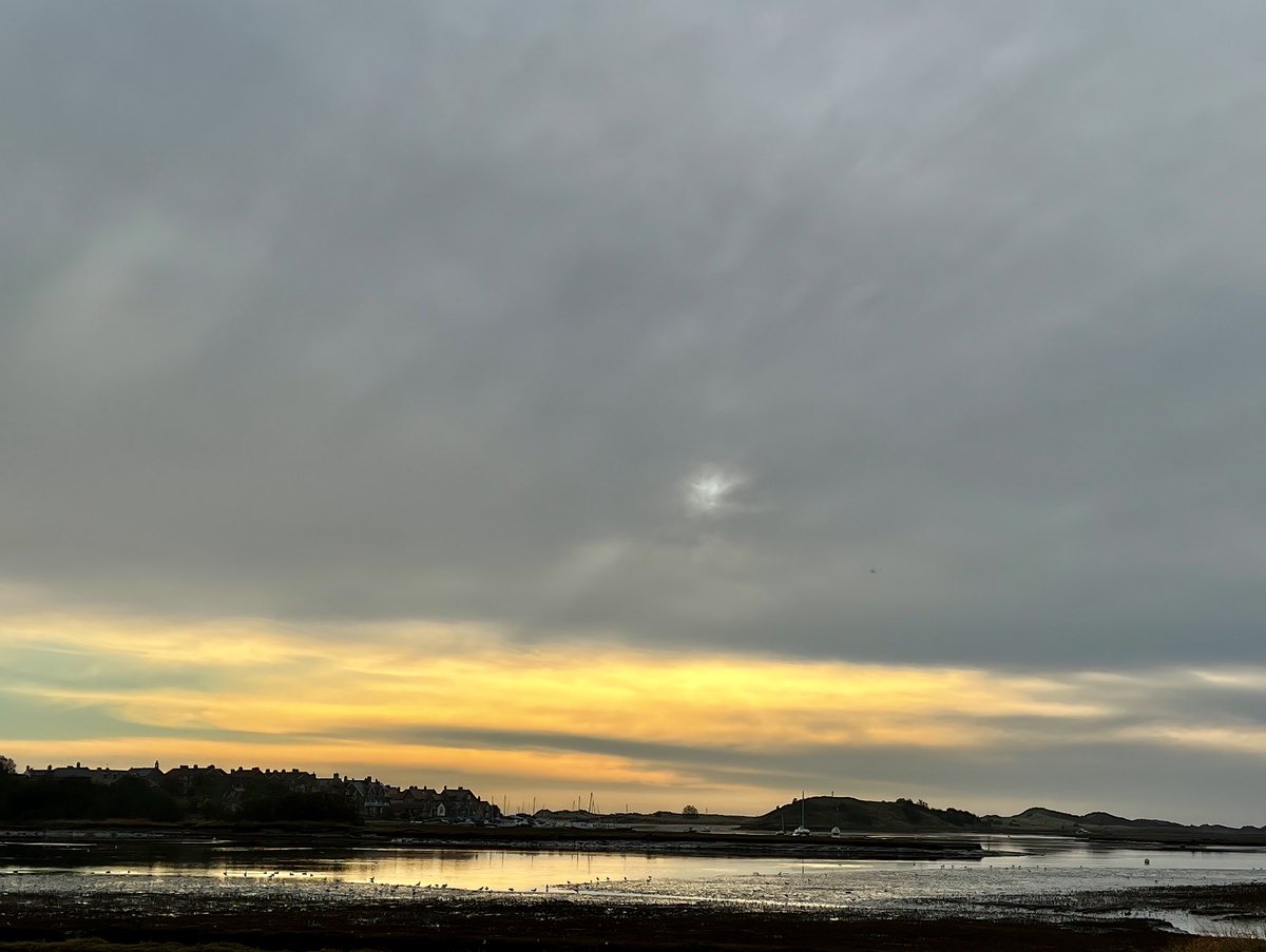 Tom Cadwallender tweet media