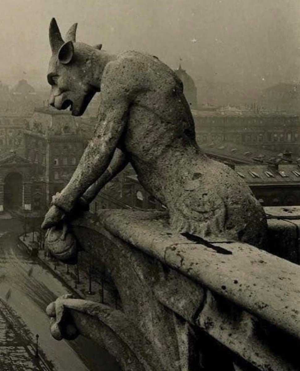 Just a random picture of Notre Dame gargoyle overlooking Paris in 1910.