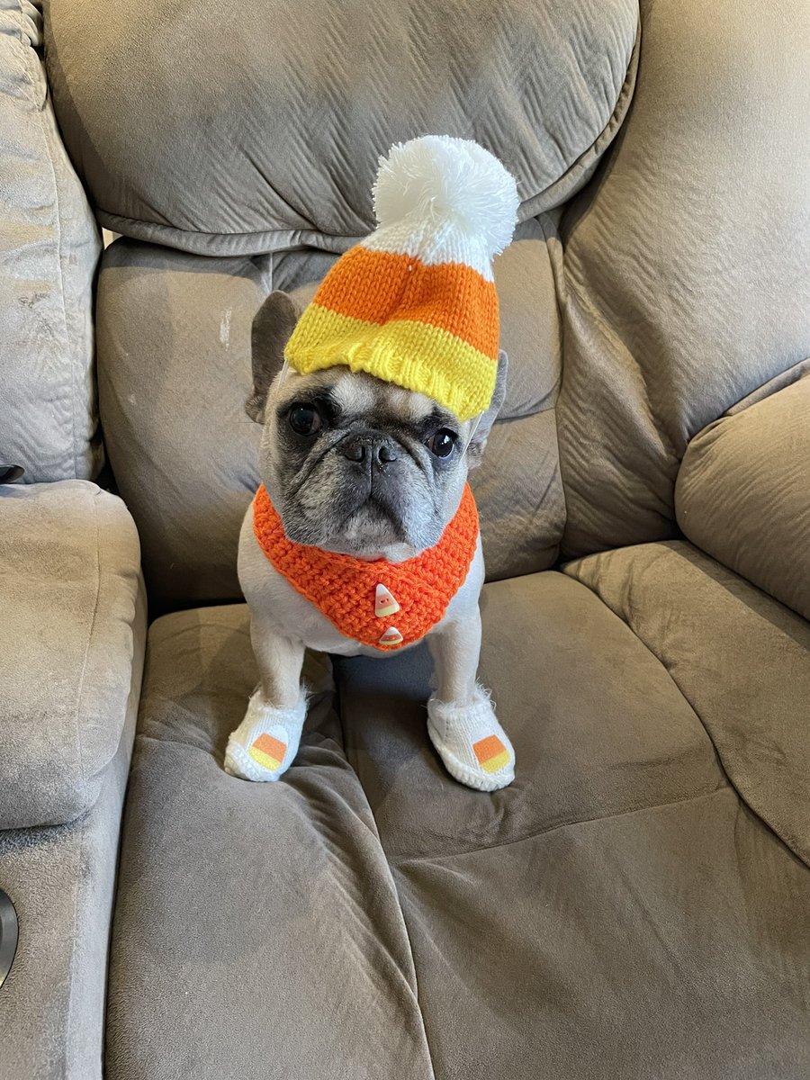 Hi frens! Happy #NationalCandyCornDay  🧡🤍💛   Lubs yous!🧡🤍💛