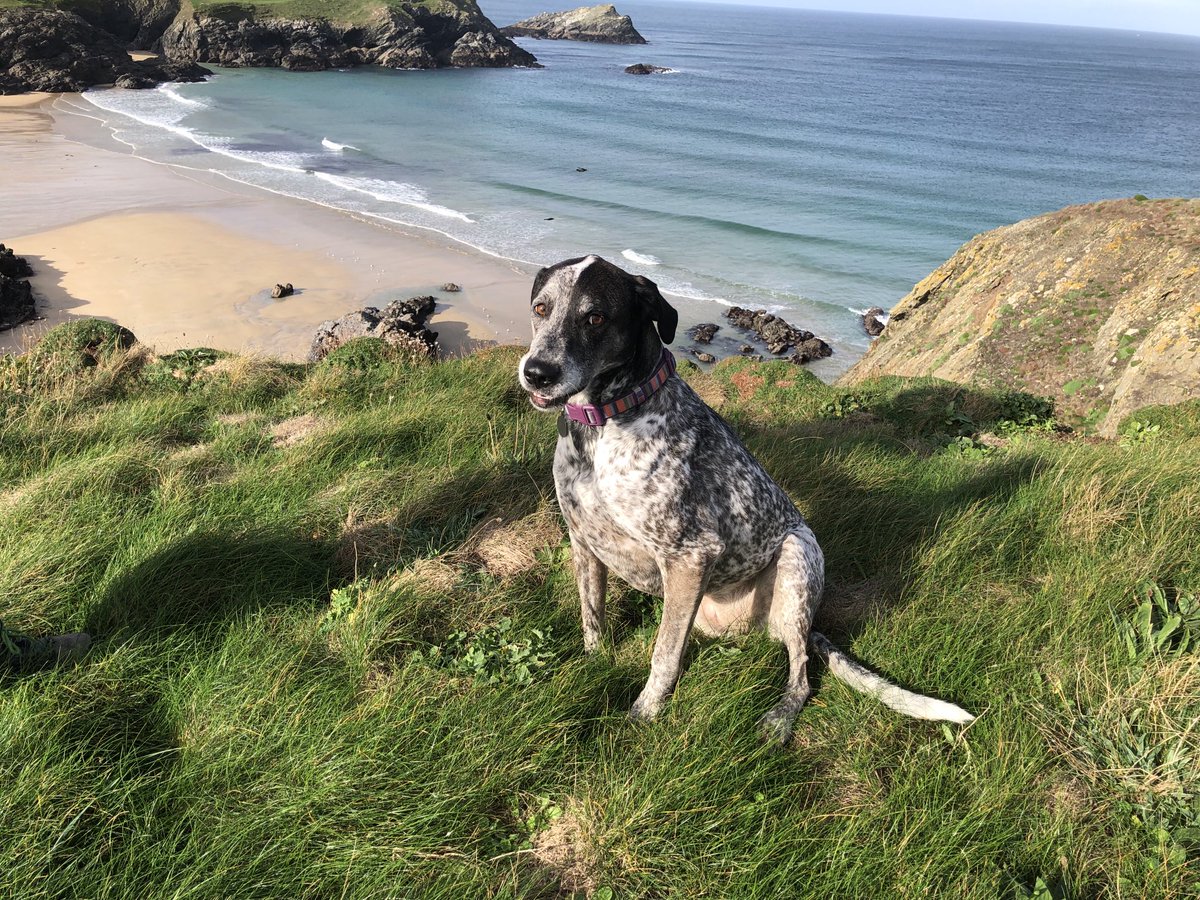 ⁦<a href="/NickyAACampbell/">Nicky Campbell</a>⁩