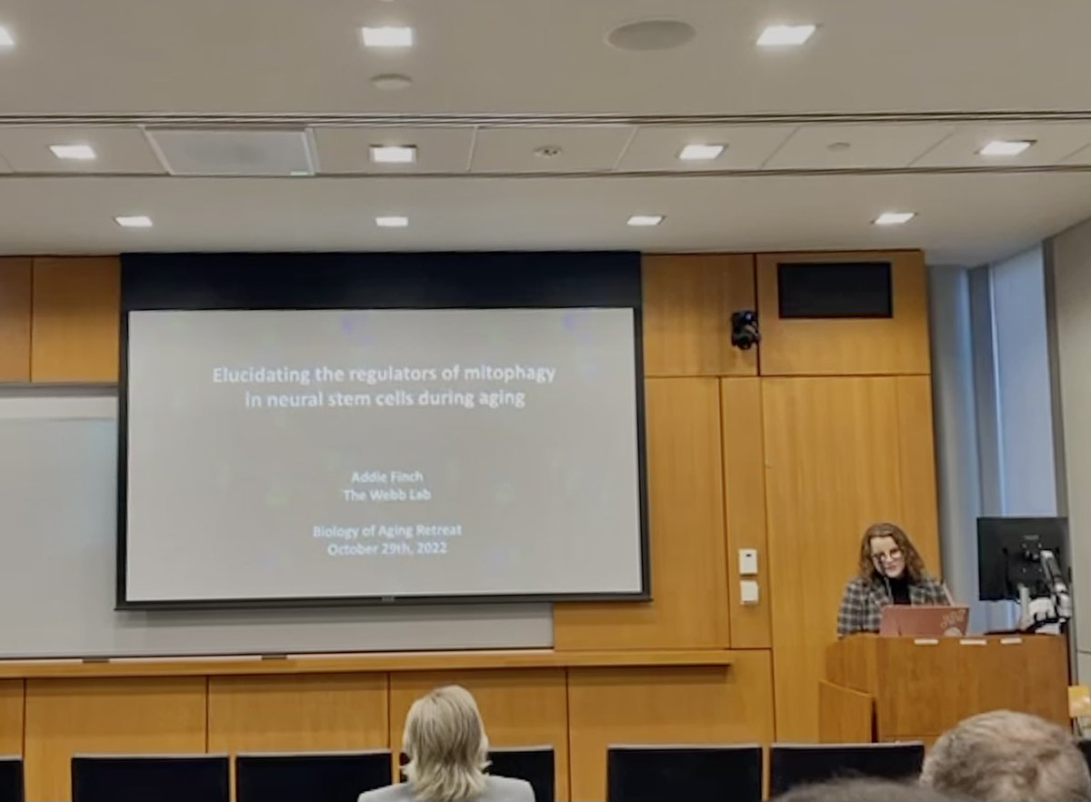 Addie Finch tweet media