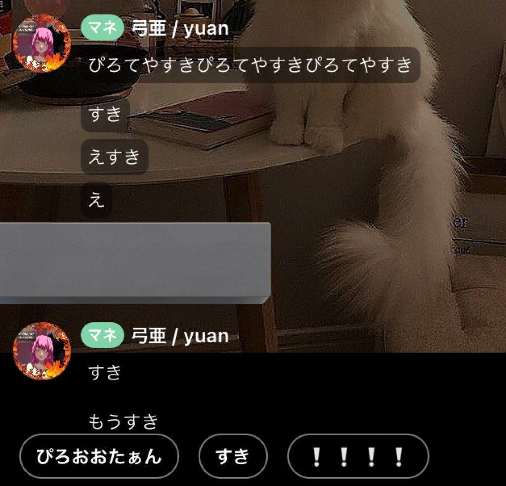 即マネつけてくれるとこも全部全部全部全部かわいいだいすきぴろたん