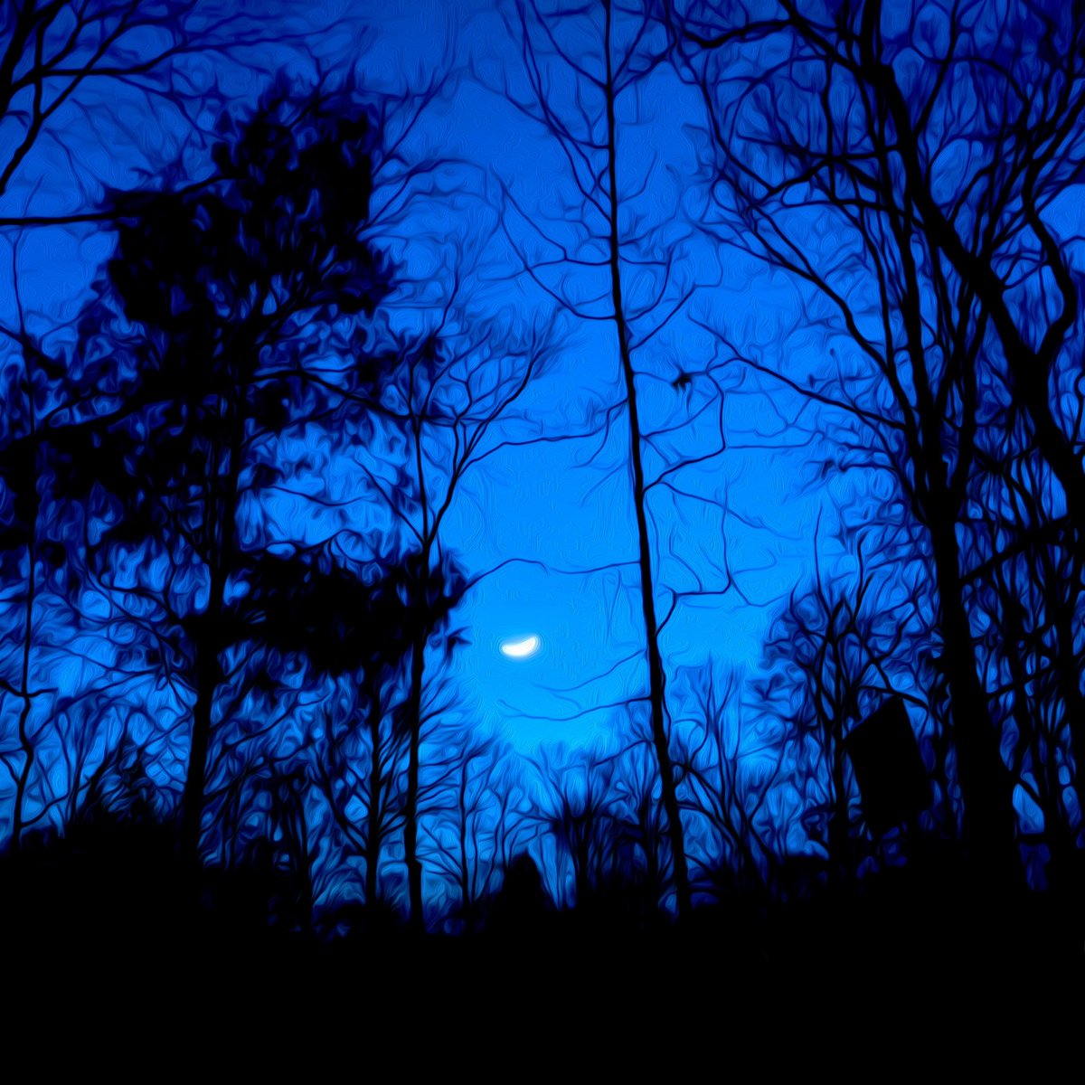 SOONER is now out on all streaming platforms. Full album with be released on November 5th! open.spotify.com/album/5JYpIIqB…