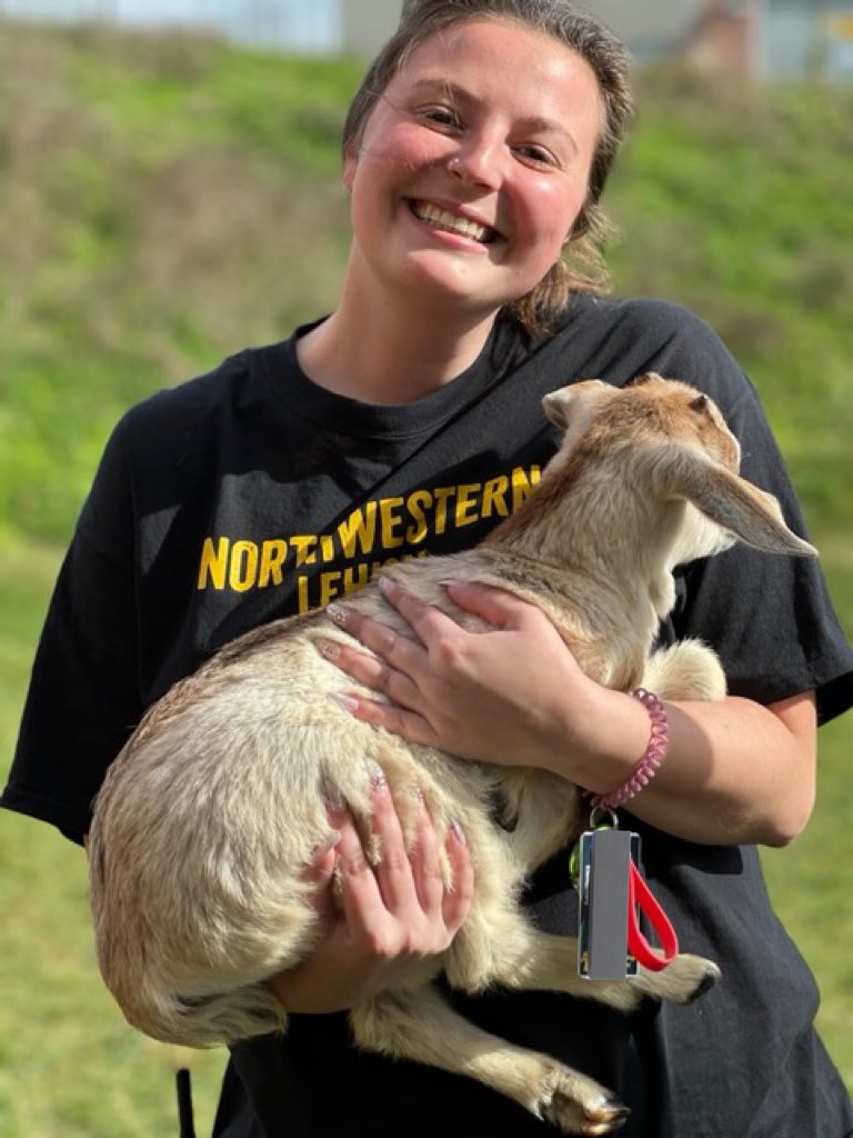 MissBoccella's tweet photo. Reptiles &amp; Bugs &amp; Goats, Oh My! Students had such a fun time at the Fall Fun Festival on Friday. Thank you to our presenters and volunteers for making the day possible!🐍🪳🐐 #ReptileMan #RyantheBugMan #TigerPride🐯 https://t.co/7Bug4riEHo