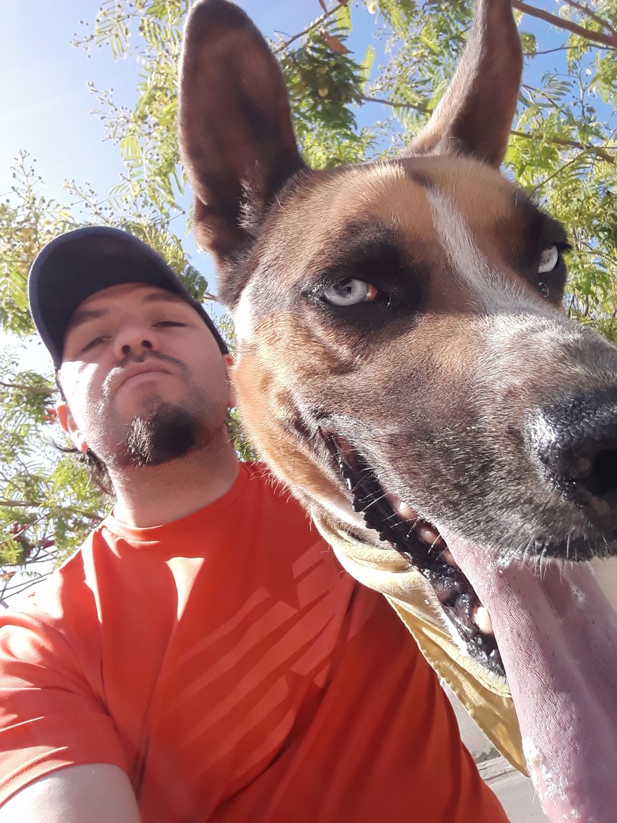 tom_ratm_237's tweet photo. 🐸🐶
#Lemmy #Perritos #PerrosAdoptados #PerrosRescatados #AdoptaNoCompres #TenenciaResponsable #Amputee
#Tripoddogs #Tripwads https://t.co/ZRHvBYpUXU