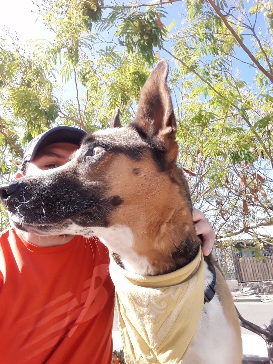tom_ratm_237's tweet photo. 🐸🐶
#Lemmy #Perritos #PerrosAdoptados #PerrosRescatados #AdoptaNoCompres #TenenciaResponsable #Amputee
#Tripoddogs #Tripwads https://t.co/ZRHvBYpUXU