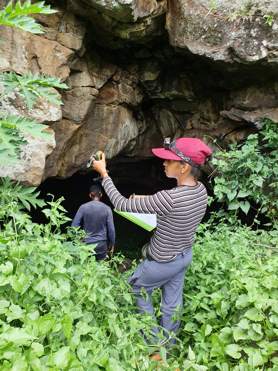 NatureYetu tweet media