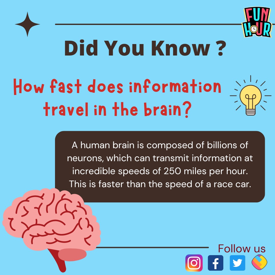 FunHourOfficial's tweet photo. Do you know π³
Follow @funhourofficial for more such interesting infos
#funhour #growwithfunhour #learnwithfunhour #didyouknow #didyouknowfacts #doyouknow #interestingfacts #omg #funlearning #wowfacts #information #speed #racecar #learnnewthingseveryday #brainfacts #humanbrain https://t.co/aleLz3a8zK