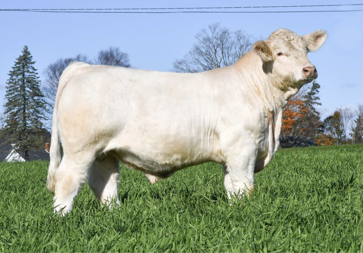 Robert Cooper tweet media