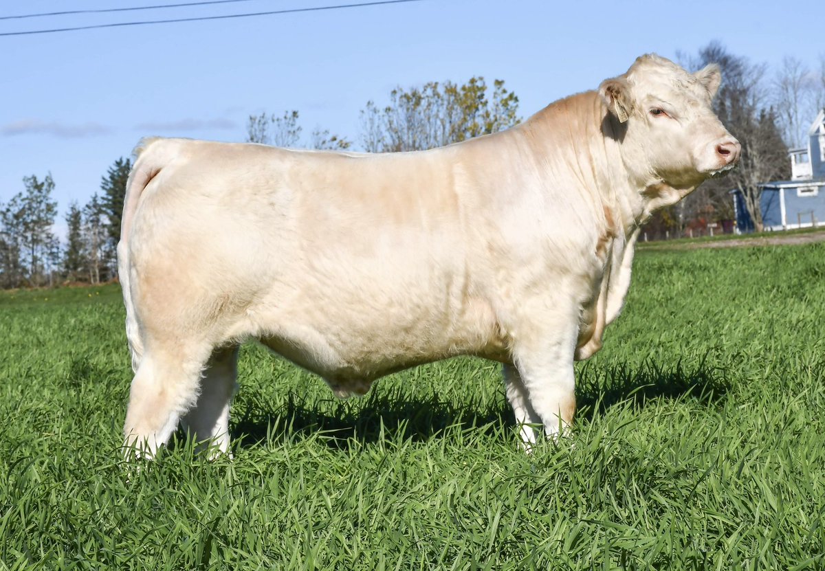 Robert Cooper tweet media