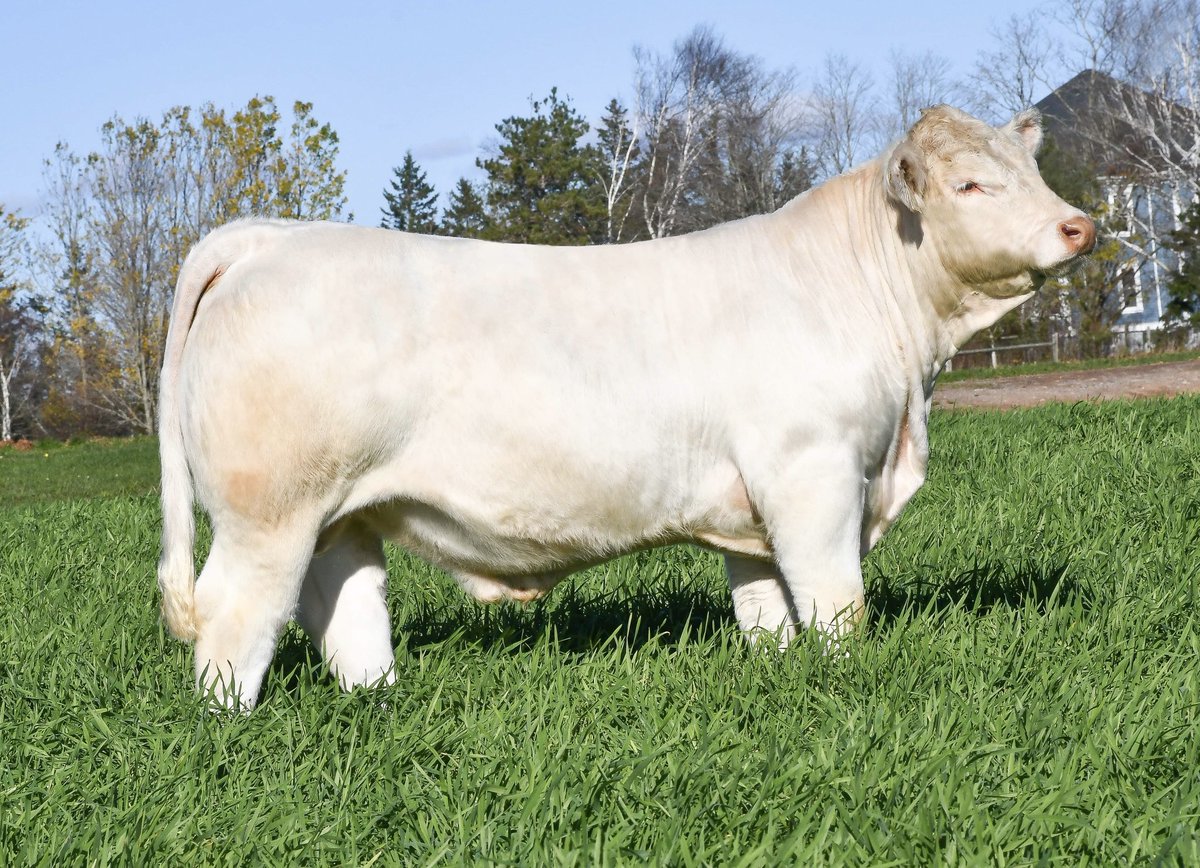 Robert Cooper tweet media