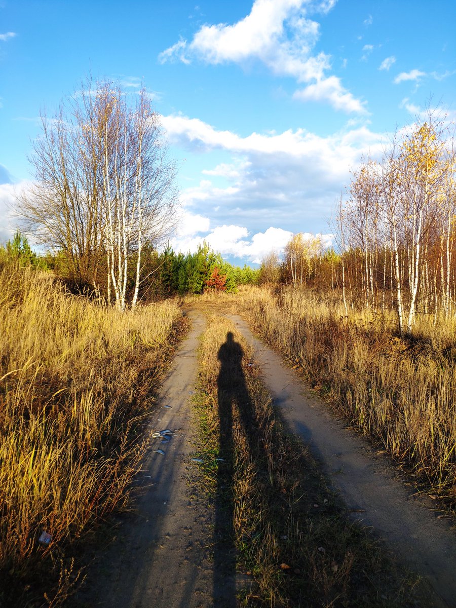 I want to ride my bike
I want to ride my bicycle
I want to ride it where I like
#bicycle