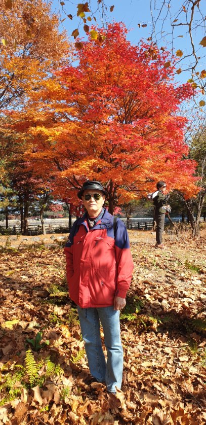 김동익 (@poyang12) on Twitter photo 