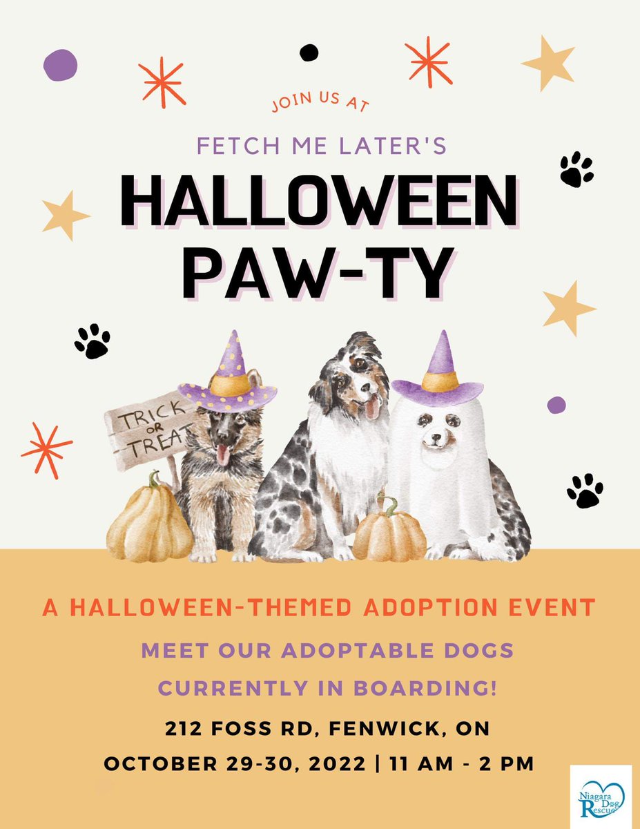Stop by Fetch Me Later in Fenwick TODAY 11am-2pm to meet some of NDR's adoptable dogs!

Raffles, treats and pups! What more can you ask for 🐶 ❤️